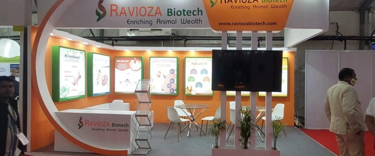 Home whatsapp image 2026 01 20 at 11.29.23